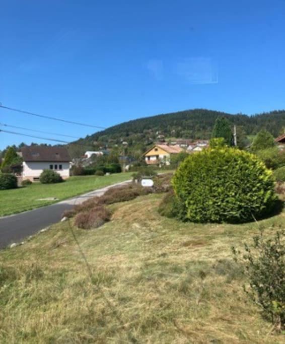 ג'רארדמר Les Deux Maisons - Little Green - Maison Cosy Proche Pistes Et Lac מראה חיצוני תמונה